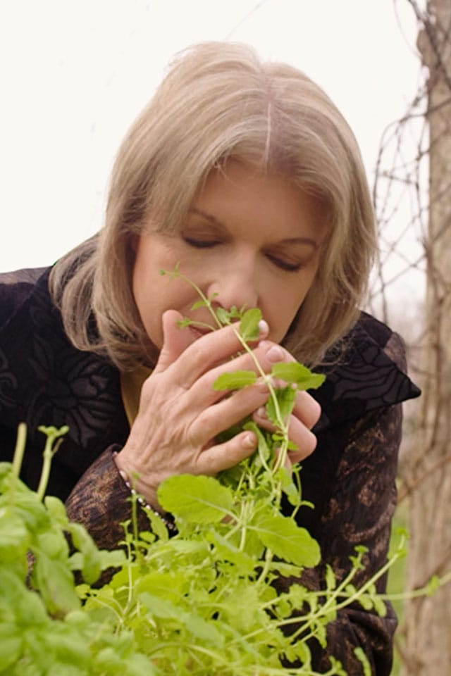 Aeons Lady Smelling Plants | Etna Studios