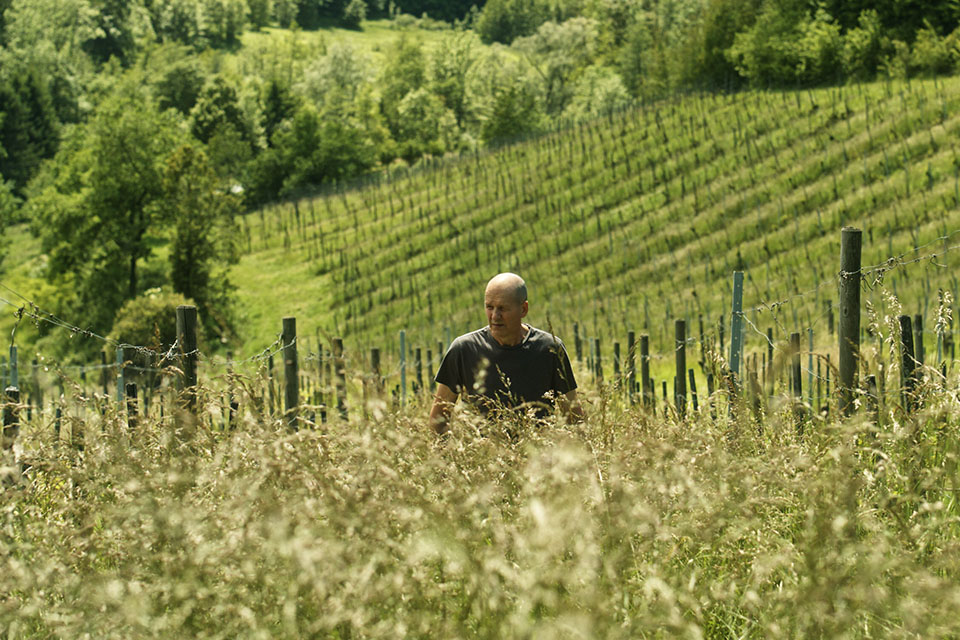 Documentary Reel Landscape Man In Field | Etna Studios
