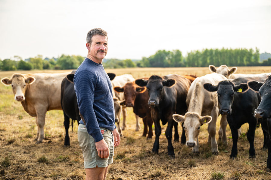 Wild Acre Farmer In Field With Cows | Etna Studios